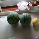 도식농장 이미지