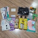 작동빨래터 분수대 | UN세계요가의날 2025 서울광화문 행사 프로그램, 화장실, 이벤트부스, 사은품, 혼자 가본 후기
