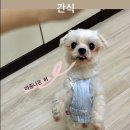 깍고밀고이발 이미지