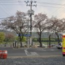 진성생고기 이미지