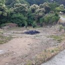 대지부동산중개인사무소 이미지