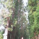 삼일산장 이미지