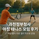 청사서로 | 과천정부청사 아침 테니스 모임 후기 🎾