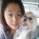 베라데로 이미지