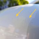 애니카랜드 상계점 이미지