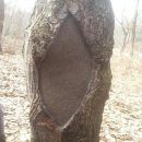 동남정비 이미지