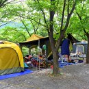 향림오토캠핑장 이미지