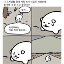 (주)백룡 이미지