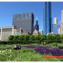 도심의 쉼터 이미지