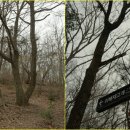 보통골로 이미지