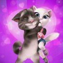 달달한 고양이 이미지