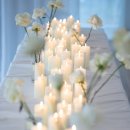 세무회계도호