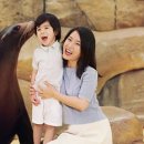 아틀란티스 스쿠버다이빙 네이버블로그