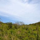 영산도명품마을 이미지