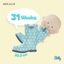 지정31 | 고위험 산모 임신 후기 기록 31주에서 33주 기록 발달지연 의심 소견 동산병원 제왕절개 날짜 지정