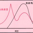 여성 호르몬과 가슴 이미지