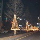 멍이하루 이미지