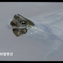 용인 수영장 추천 해와달펜션 친절과 가성비가 돋보이는 공간