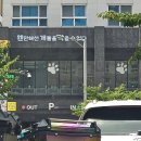 웬만해선 개들을 막을 수 없다 이미지