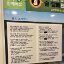 라이라이켄
