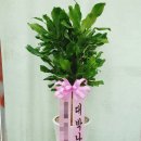 월라봉로 이미지