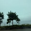 인어바위 인근 2 | [캠핑 느루] 울산바위를 보려고 갔는데…… / U2 사이트 후기