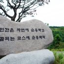 조아골프