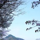 만천천길 이미지