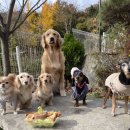 푼타하우스 이미지