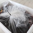 원준농장 이미지