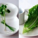 집에서 만드는 이탈리아 요리 이미지