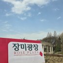 240330 스트레이키즈 매직스쿨 중콘 일 년만에 후기 쓴다