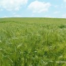 바람햇살농장 이미지