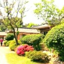 김정선생묘소일원 이미지