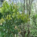 길산농장 이미지