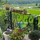 신정리513숯불불고기 이미지