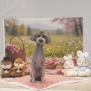 해피독쌤 이미지