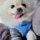 지에스25창동평화점 이미지