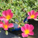 억불산민박 이미지