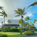 로이네 애견호텔 | 하와이 더 리츠칼튼 오아후 터틀베이 호텔, 선셋부터 디너까지 여행같은 일상