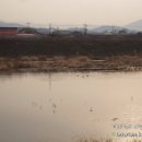 고니농장 이미지