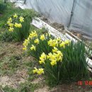 화창농원 이미지