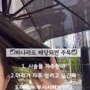 자기표현미용실