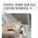 민꼼네일