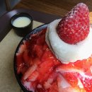 설빙 티스토리