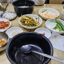 [공지] 부산역 본전돼지국밥 애견동반 방문 후기