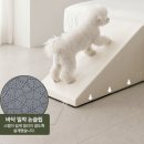 펫하우스 - 동구 문현로 32 | [강아지 계단 추천] 초코펫하우스 논슬립스텝 2.0 내돈내산 솔직 후기 | 슬개골 탈구 예방