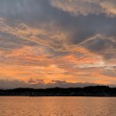 울진대게궁7호 이미지