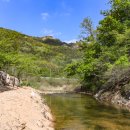 힐링하우스 | 상주 문장대힐링하우스 방문 후기 | 상주펜션 속리산펜션 추천!