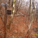 제일농원 이미지